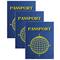 Ashley Productions Blank Passports, 12 Per Pack, 3 Packs